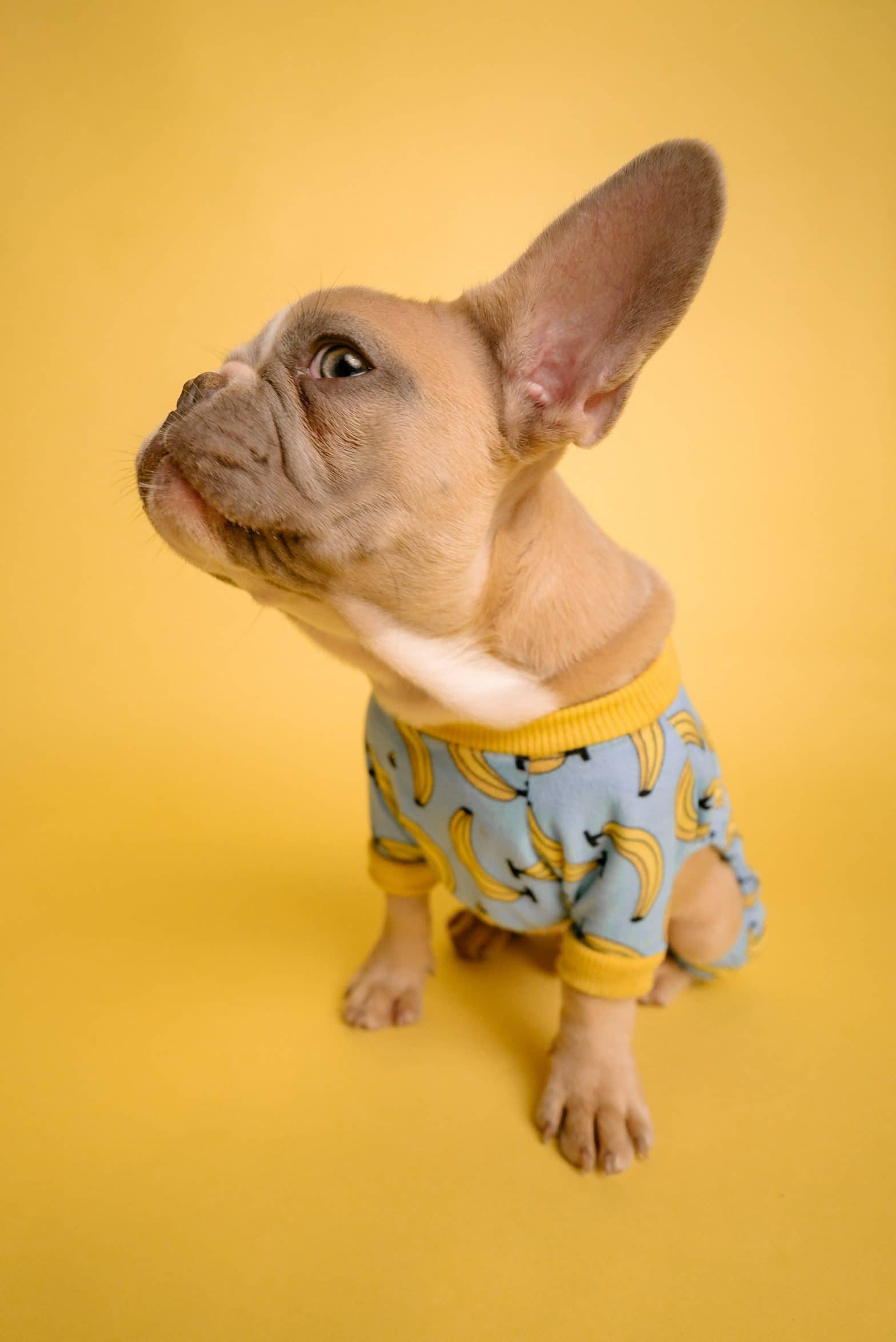 attentive audience for your virtual event