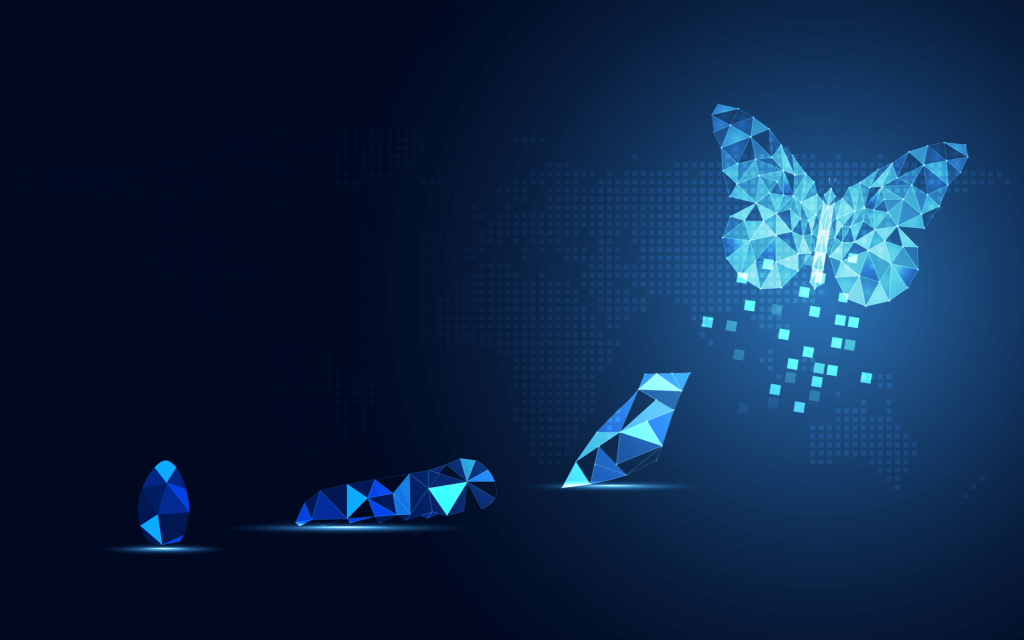 transform your website with a rebrand