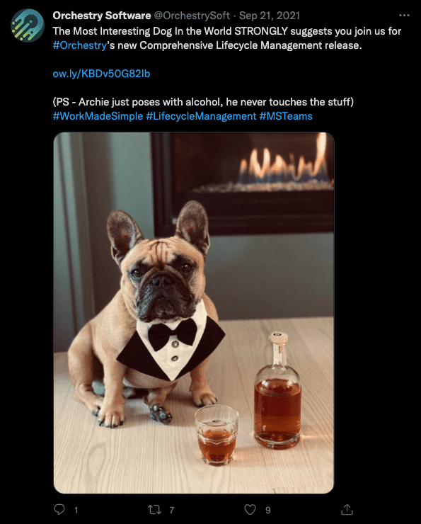 social media campaign in reference to cameo celebrity endorsement