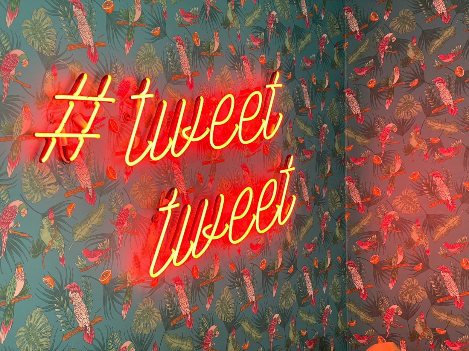 Must-Follow B2B Marketer Account on Twitter