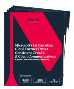 screenshot of Steeves First Microsoft Cloud Partner case study