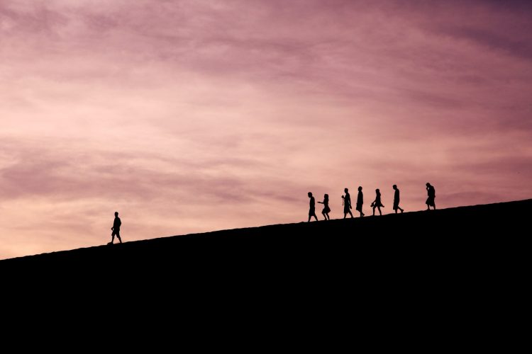Showcase your subject matter expertise by putting thought leadership on display